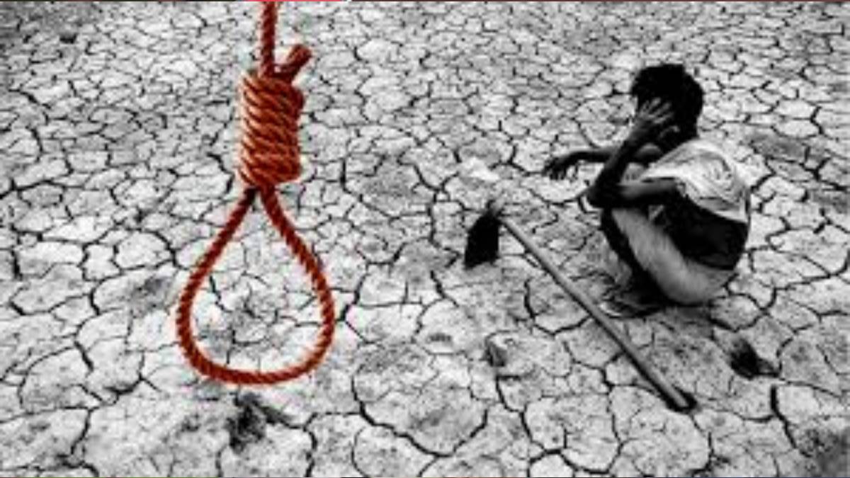 এক বছরে কৃষক আত্মহত্যা ১০ হাজারেরও বেশি, শীর্ষে মহারাষ্ট্র, বাংলায় কৃষক আত্মহত্যা নেই