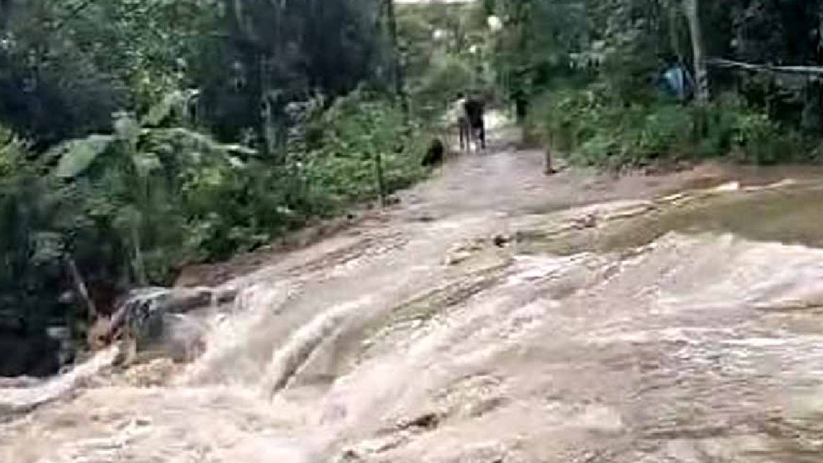 আংশিকভাবে খুলে দেওয়া হল কালিখোলা সেতু