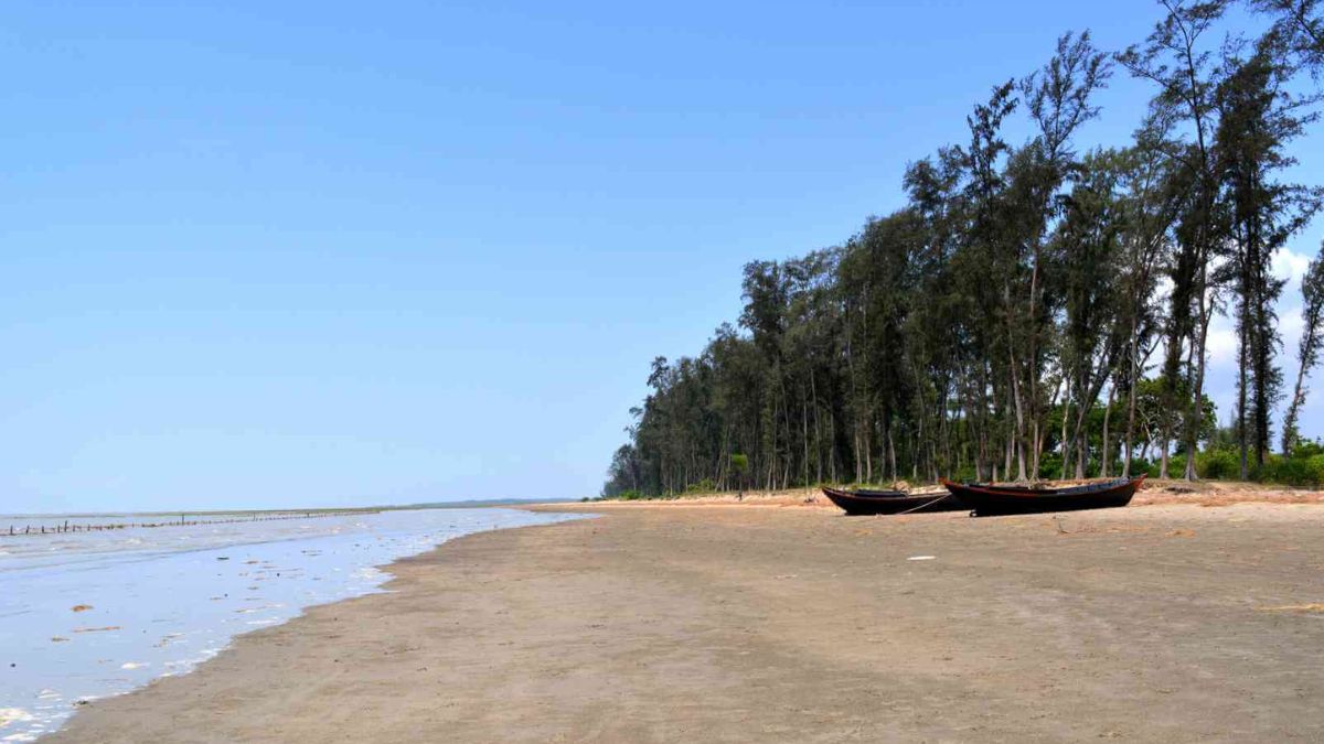 জুনপুটের ঝাউবন থেকে উদ্ধার কিশোরীর হাত–পা বাঁধা দেহ, গ্রেপ্তার ১