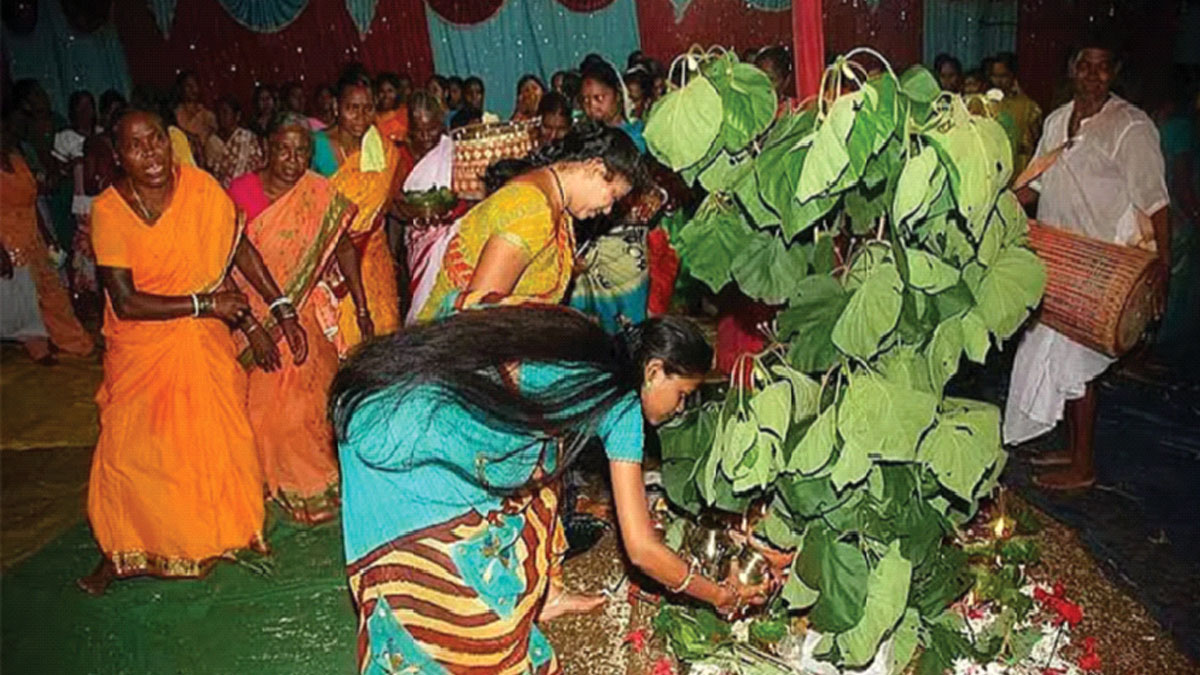 গাছেদের ঘিরে আবর্তিত পুজো ‘করম পরব’