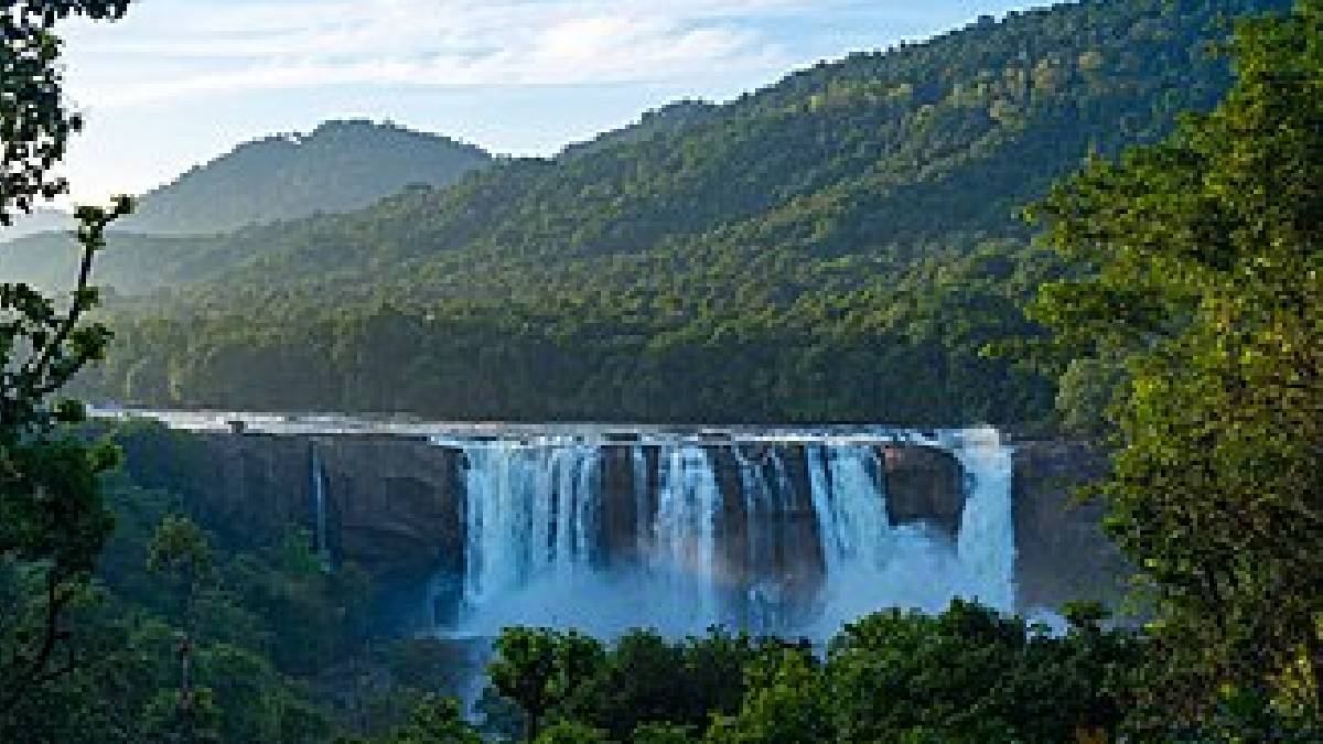 জলের ওপর ভাসমান জীবন