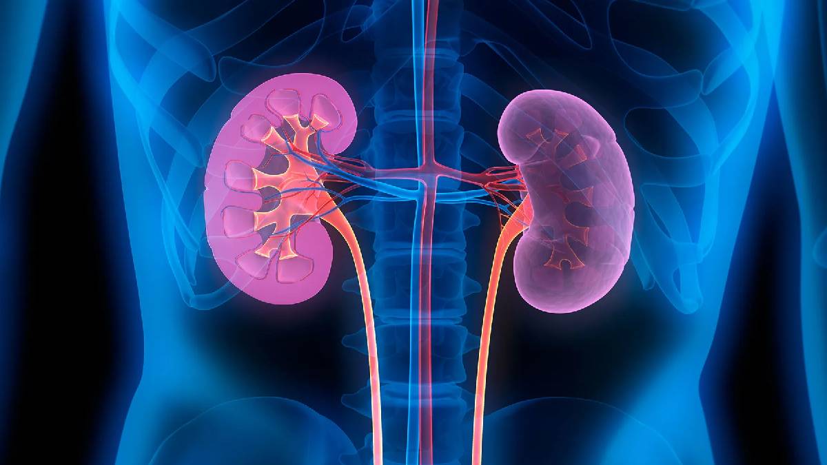 চুলের রং থেকে দেখা দিতে পারে কিডনির সমস্যা