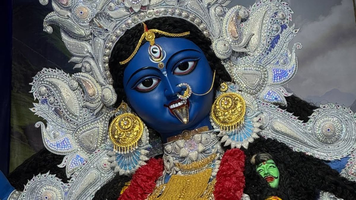 ৬ দশকের ঐতিহ্যে ভর, আজও আকর্ষণের কেন্দ্রে ফাটাকেষ্টর কালী