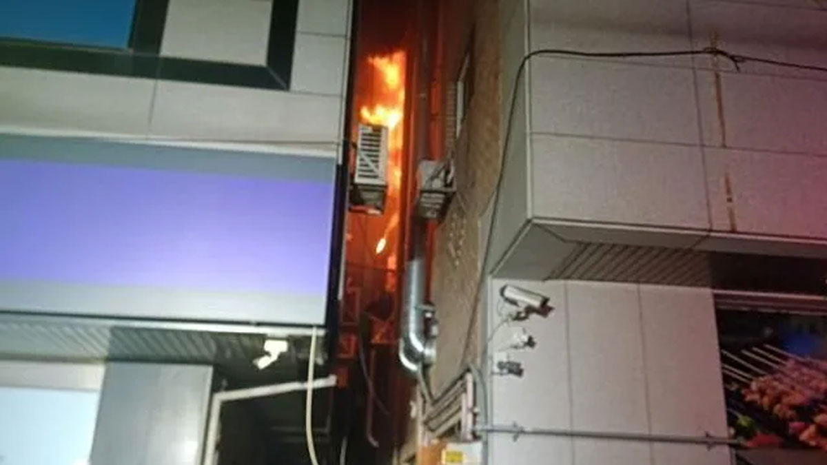 আরশোলা মারতে গিয়ে প্রতিবেশীর মৃত্যু, খুনের অভিযোগ দক্ষিণ কোরিয়ায়