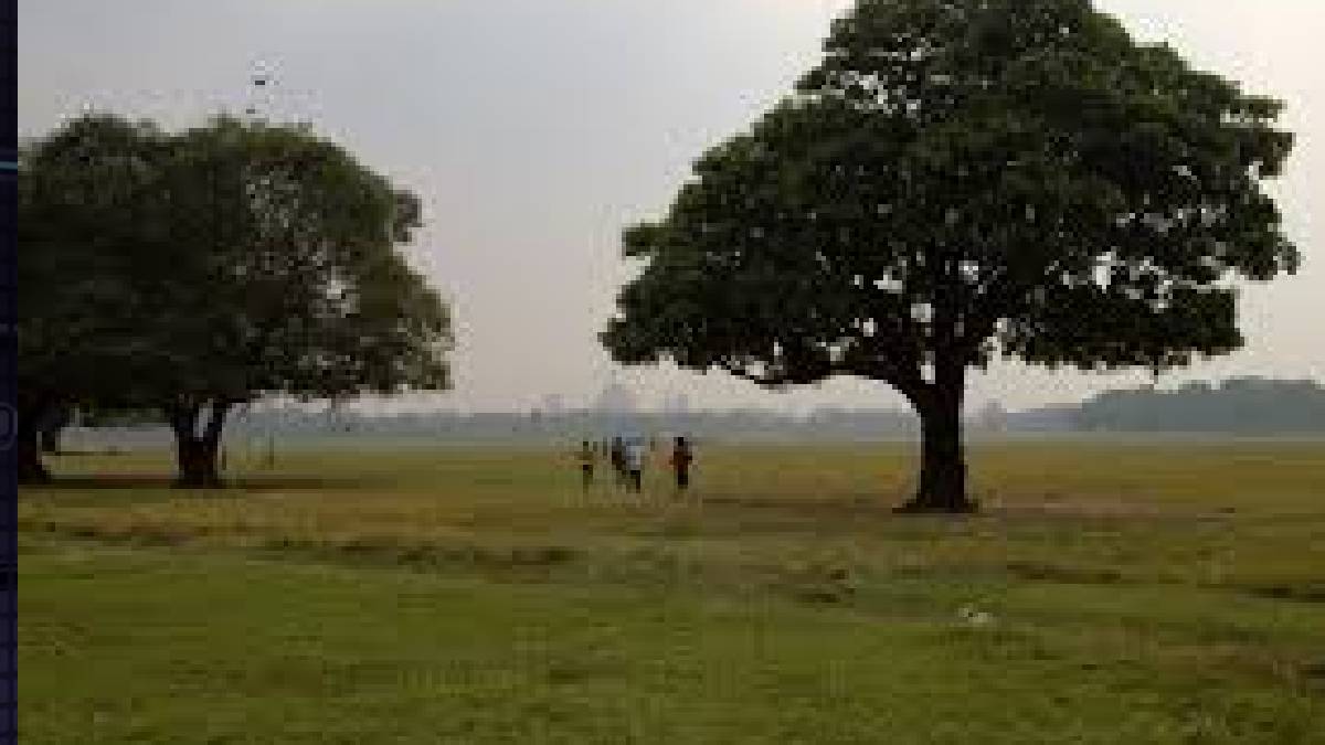 কলকাতার সবুজ এবার ডিজিটাল খাতায়, এক ক্লিকেই জানা যাবে শহরের প্রতিটি গাছের খবর