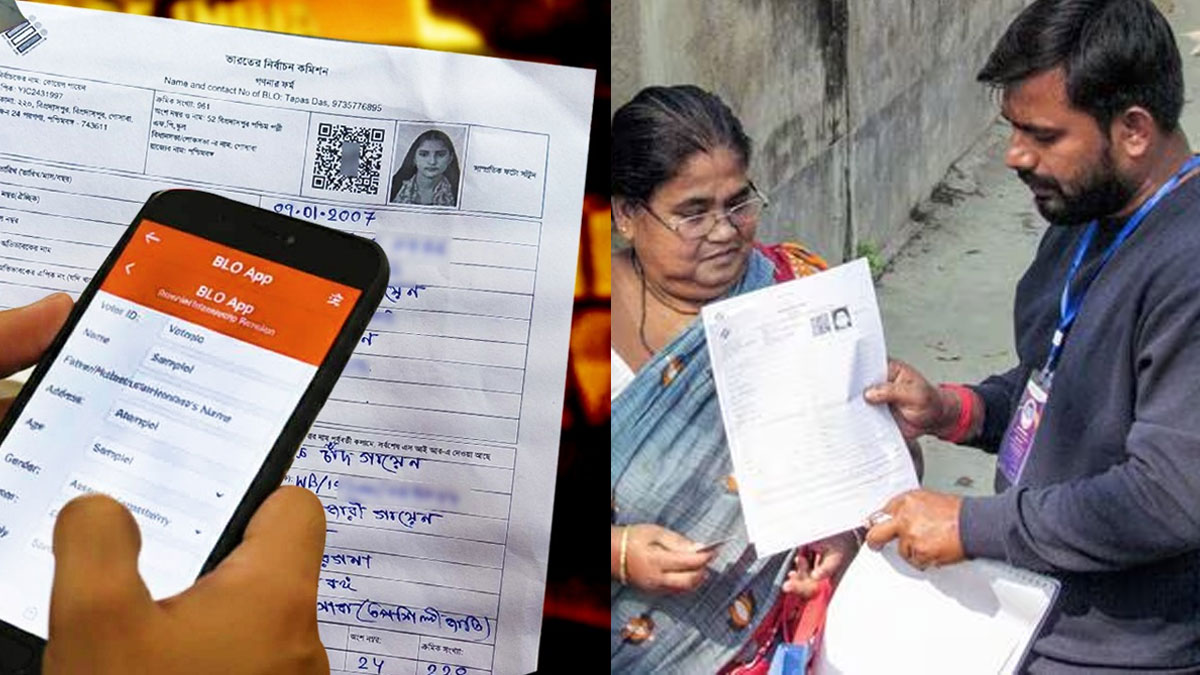 বিএলও অ্যাপে বড়সড় ত্রুটি, এসআইআর প্রক্রিয়ার স্বচ্ছতা নিয়ে প্রশ্ন