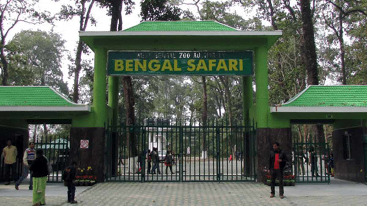 বেঙ্গল সাফারিতে আয়ের নয়া রেকর্ড