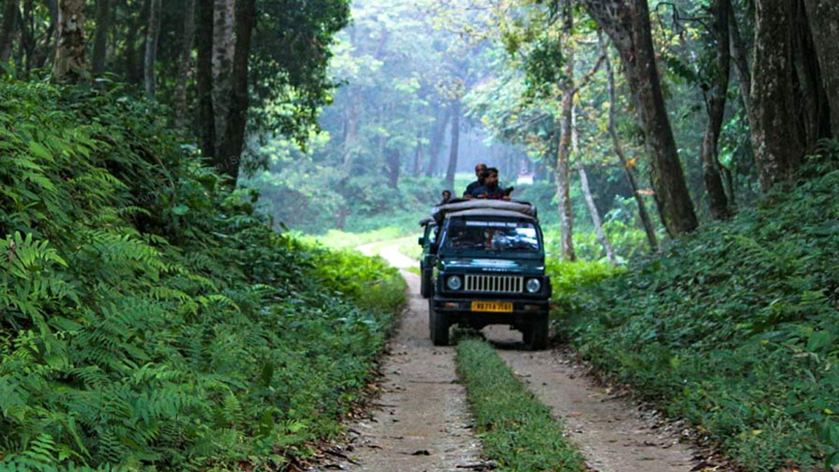 বন্যপ্রাণীর মৃত্যু রুখতে রাতভর টহলদারি