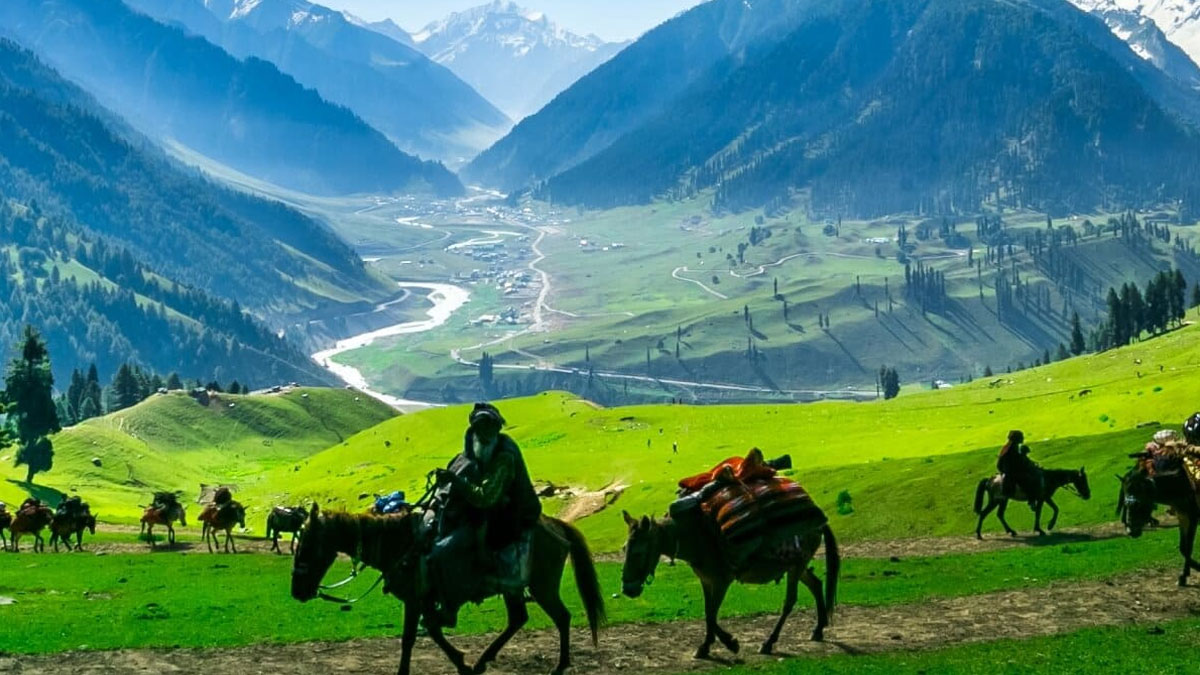 চলুন কাশ্মীরে, কেন যাবেন না?