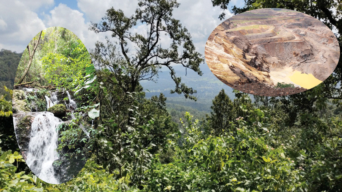 লো​হাপুরে জলে জঙ্গলে