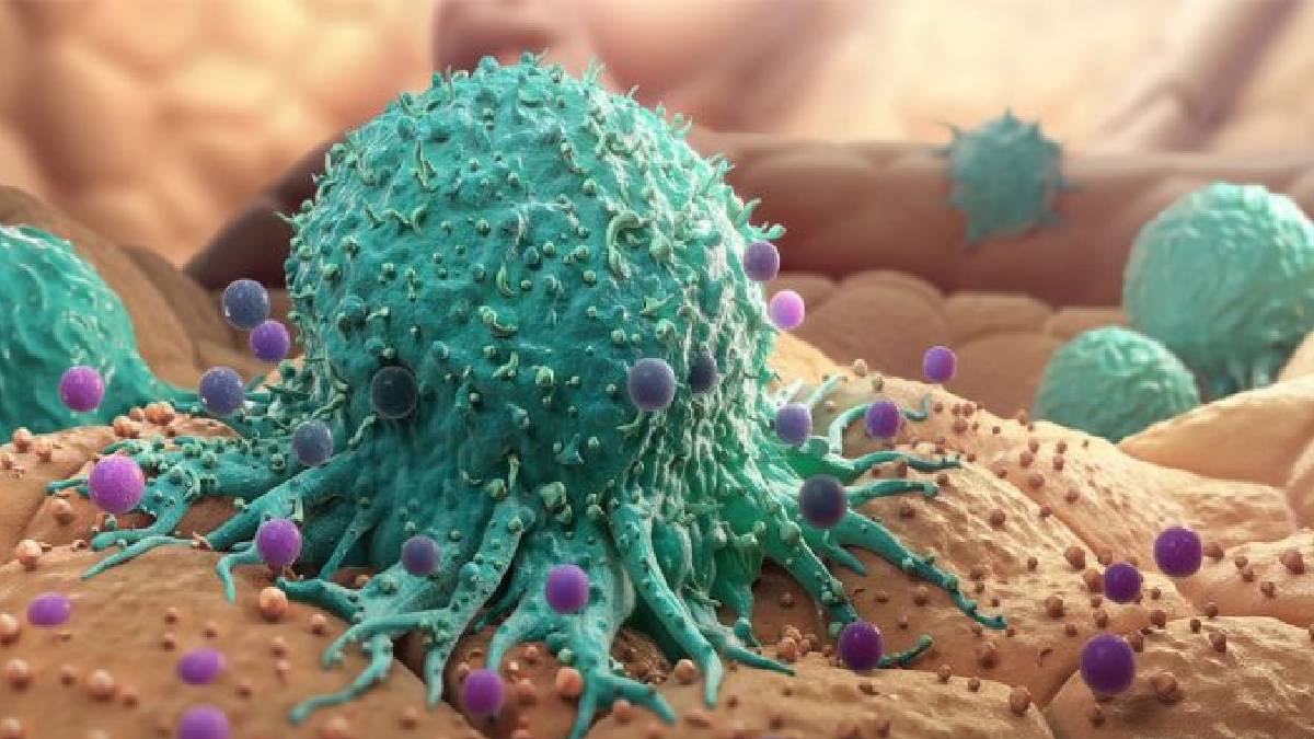 রোজকার খাবারই বাড়িয়ে তুলছে ক্যান্সারের মতন অসুস্থতার ঝুঁকি, কশরীরে প্রবেশ করছে বিষাক্ত রাসায়নিক