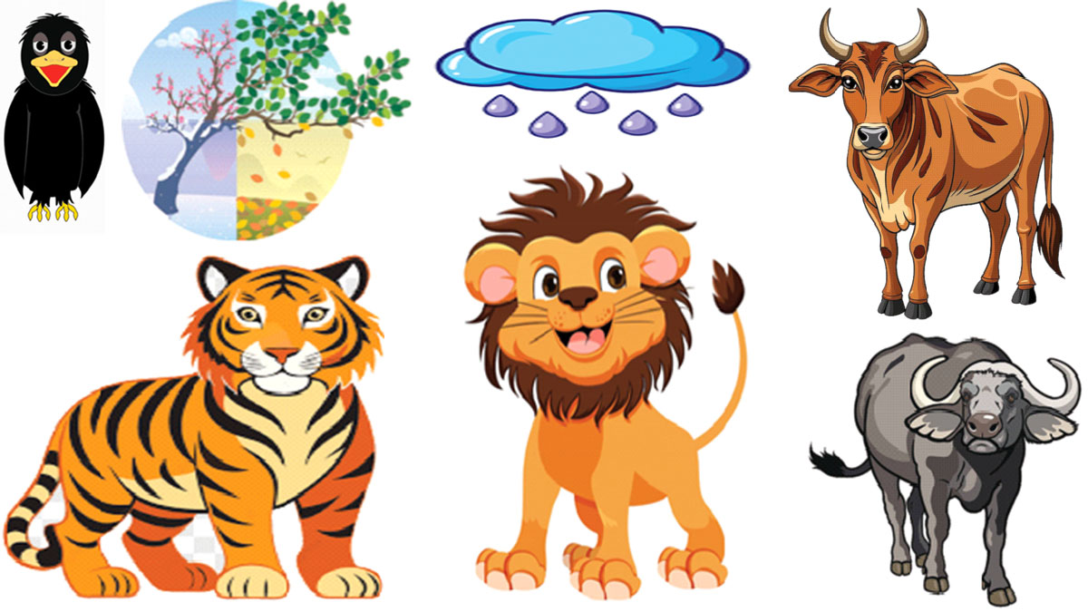 কবিতা গুচ্ছ: বাঘ গরু আর সিংহ মহিষ