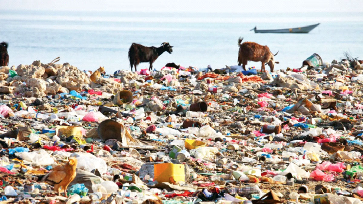 পরিবেশ দূষণ— আমাদের দায়িত্ব ও কর্তব্য