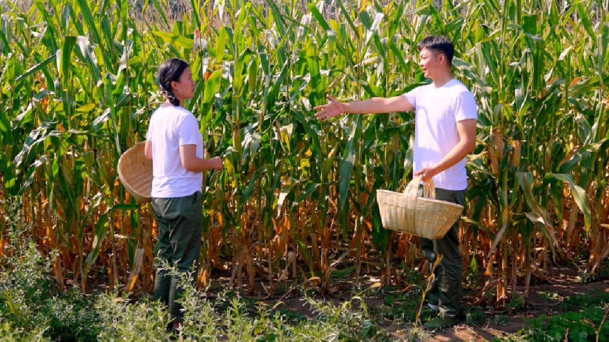 আন্তর্জাতিক কলকাতা শর্ট ফিল্ম ফেস্টিভালে আত্মপ্রকাশ করছে ‘সিনেব্রিজ’