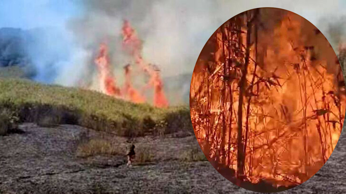 পর্যটকদের ভুলে তিন দিন দাবানলে পুড়ছে নাগাল্যান্ডের জুকো উপত্যকা