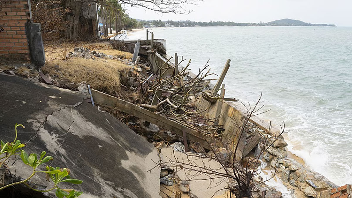 ফের ভাগীরথীর ভাঙনে আতঙ্ক কিশোরীগঞ্জে, আগাম ফসল কাটা শুরু
