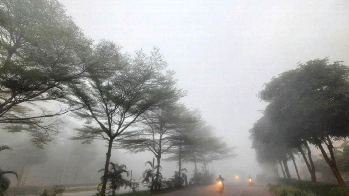 ১৫টির বেশি রাজ্যে শৈত্যপ্রবাহের সতর্কতা, ঘন কুয়াশায় ভোগান্তি 