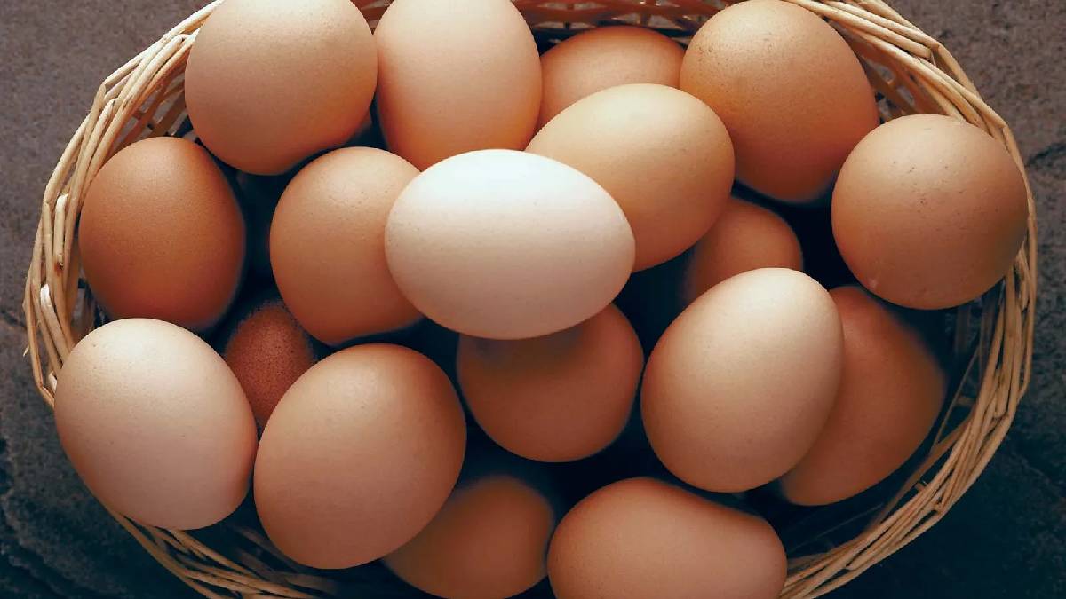 ডিমে ‘এওজেড’এর উপস্থিতি ক্যান্সারের ঝুঁকি বাড়াচ্ছে