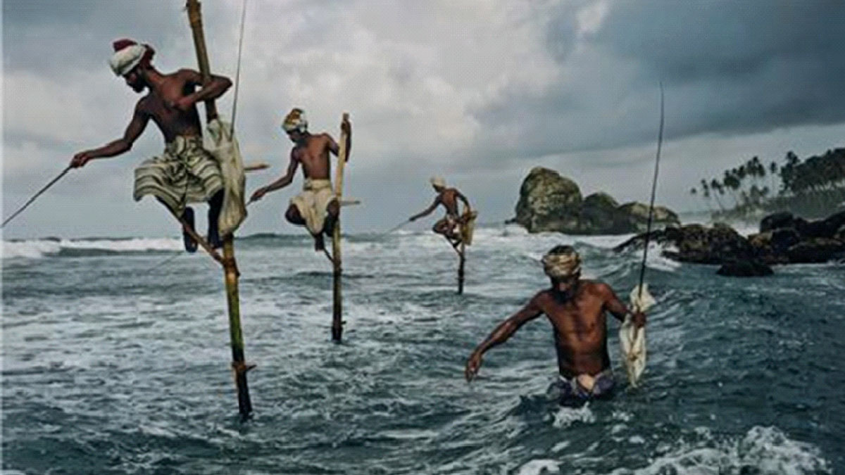 বিপন্ন গ্রেট নিকোবর দ্বীপপুঞ্জ