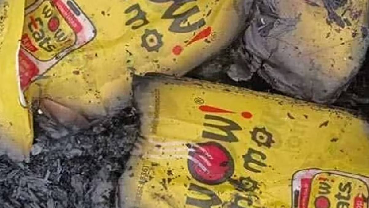 আনন্দপুর অগ্নিকাণ্ডে মৃত সংস্থার ৩ কর্মী, ঘটনার ৬০ ঘণ্টা পর দায় পাশের গুদামের উপর চাপাল ওয়াও মোমো