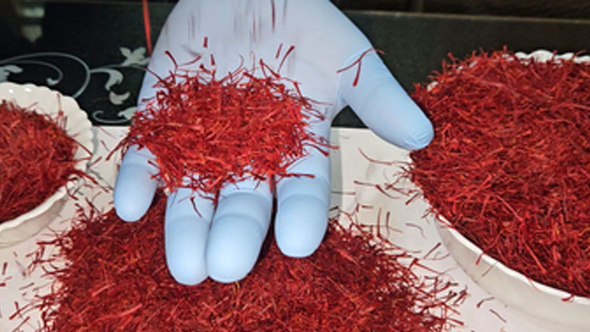 জম্মু ও কাশ্মীরের সাতটি পণ্যে জিআই স্বীকৃতি