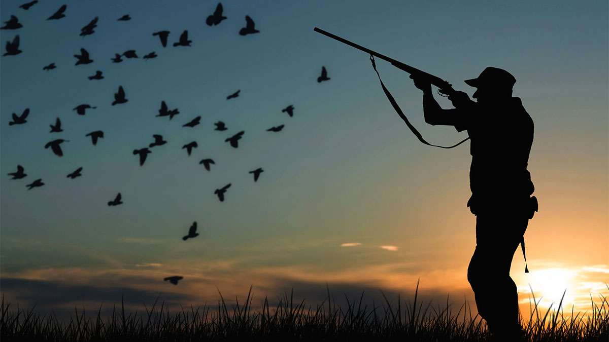 বীরভূম–মুর্শিদাবাদে ফের সক্রিয় বগারি পাখি শিকারি চক্র