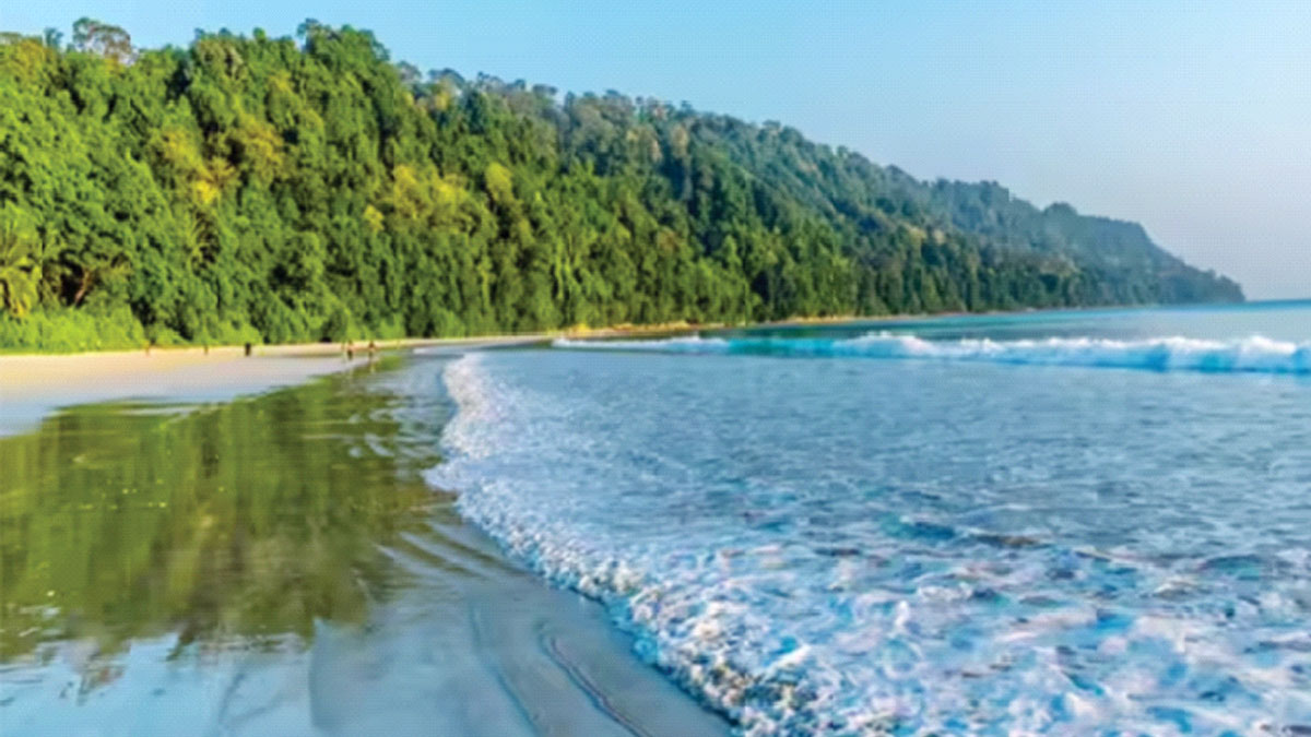 উন্নয়নের যূপকাষ্ঠে ধ্বংসের নিপুণ আয়োজন