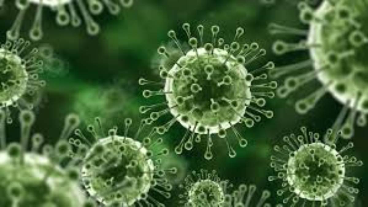 নিপা ভাইরাস নিয়ে সতর্কতা, আতঙ্ক নয়: বিশ্ব স্বাস্থ্য সংস্থা