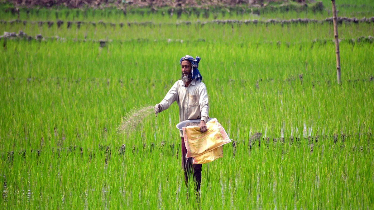 খরিফ মরসুমে সারের ঘাটতি হবে না, পর্যাপ্ত মজুতের আশ্বাস কেন্দ্রের