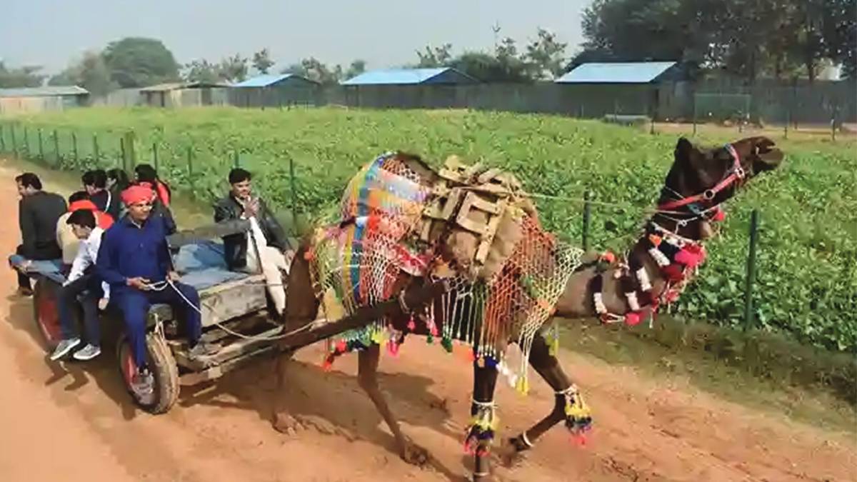 প্রতাপগড় ফার্মে একদিন