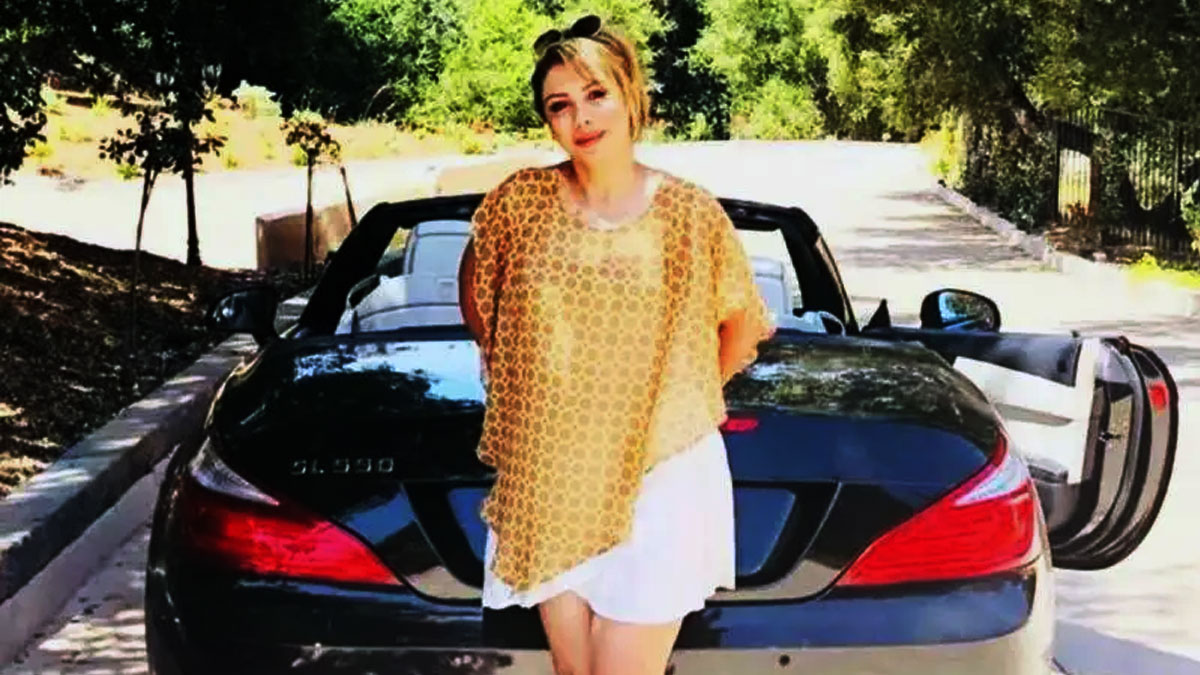 আন্তর্জাতিক অস্ত্রপাচার চক্রে জড়িত থাকার অভিযোগে মার্কিন মুলুকে গ্রেপ্তার ইরানি বংশোদ্ভূত বাসিন্দা