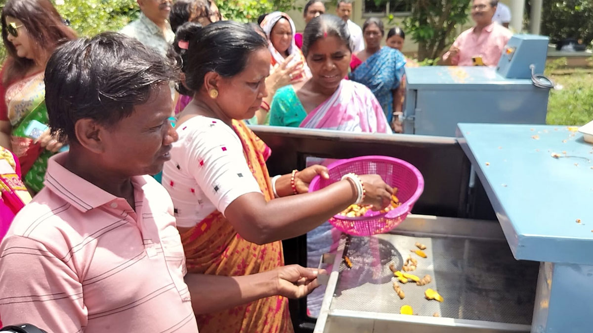 সূর্যের আলোয় স্বনির্ভরতার পথ, দমদমার আদিবাসী মহিলাদের নতুন স্বপ্ন