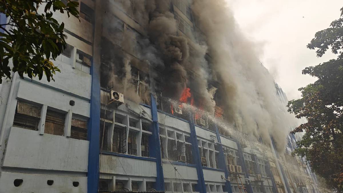 চোরা শিকারি সম্পর্কিত ডাটাবেস নষ্ট করতেই আলিপুরের সরকারি দপ্তরে আগুন!