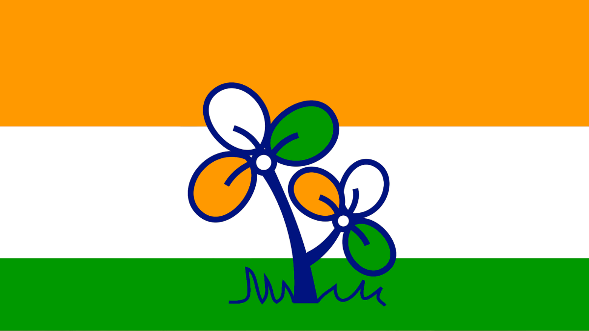 জোড়াফুলের দখলযুদ্ধ