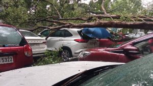 কলকাতায় বৃষ্টির পরের অবস্থা