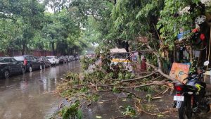 কলকাতায় বৃষ্টির পরের অবস্থা