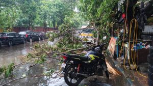 কলকাতায় বৃষ্টির পরের অবস্থা