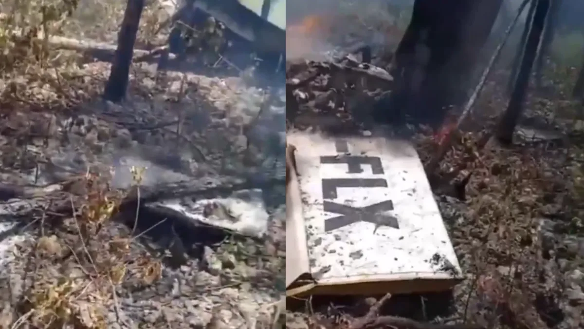 স্বাধীনতা দিবসের দিনই দুর্ঘটনার কবলে যাত্রীবাহী বিমান, মৃত ১০