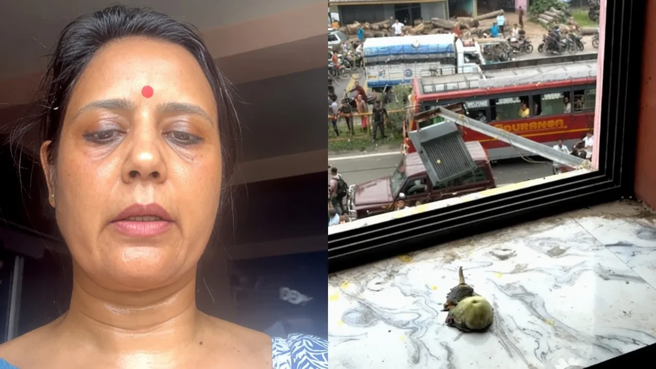ডিম থেরাপির জের: আইনি সুরক্ষা চেয়ে এবার হাইকোর্টের দরজায় মহুয়া মৈত্র