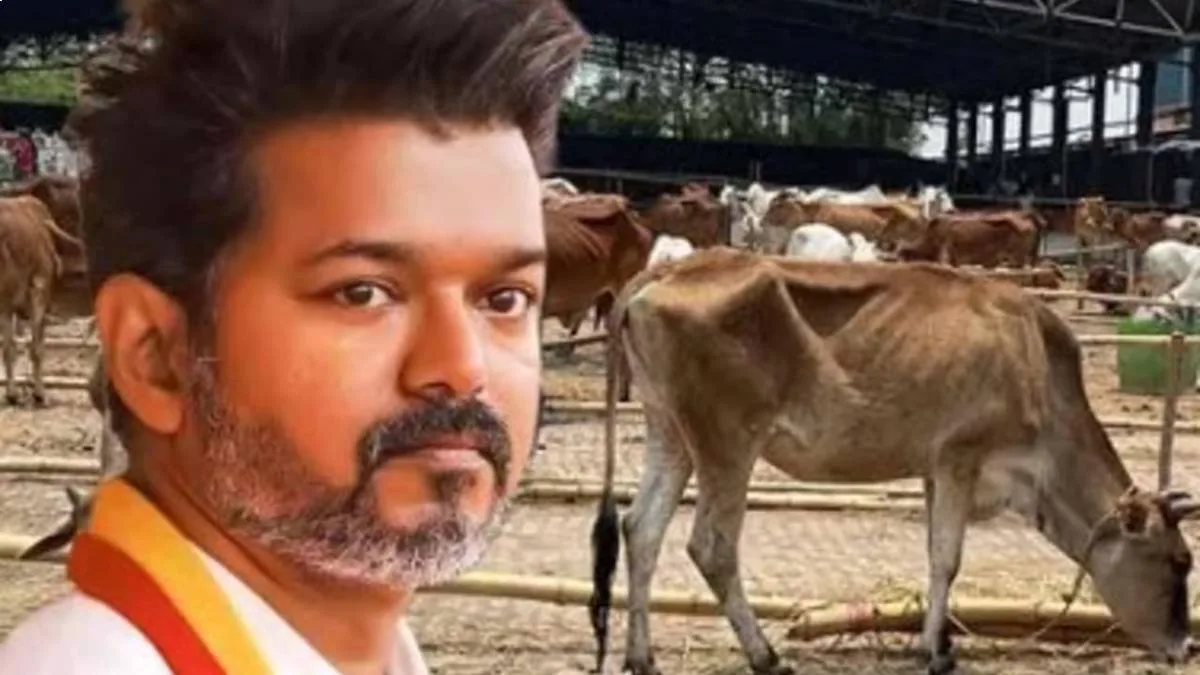 গোহত্যা নিষিদ্ধে হাইকোর্টের নির্দেশকে চ্যালেঞ্জ, সুপ্রিম কোর্টে তামিলনাড়ু সরকার