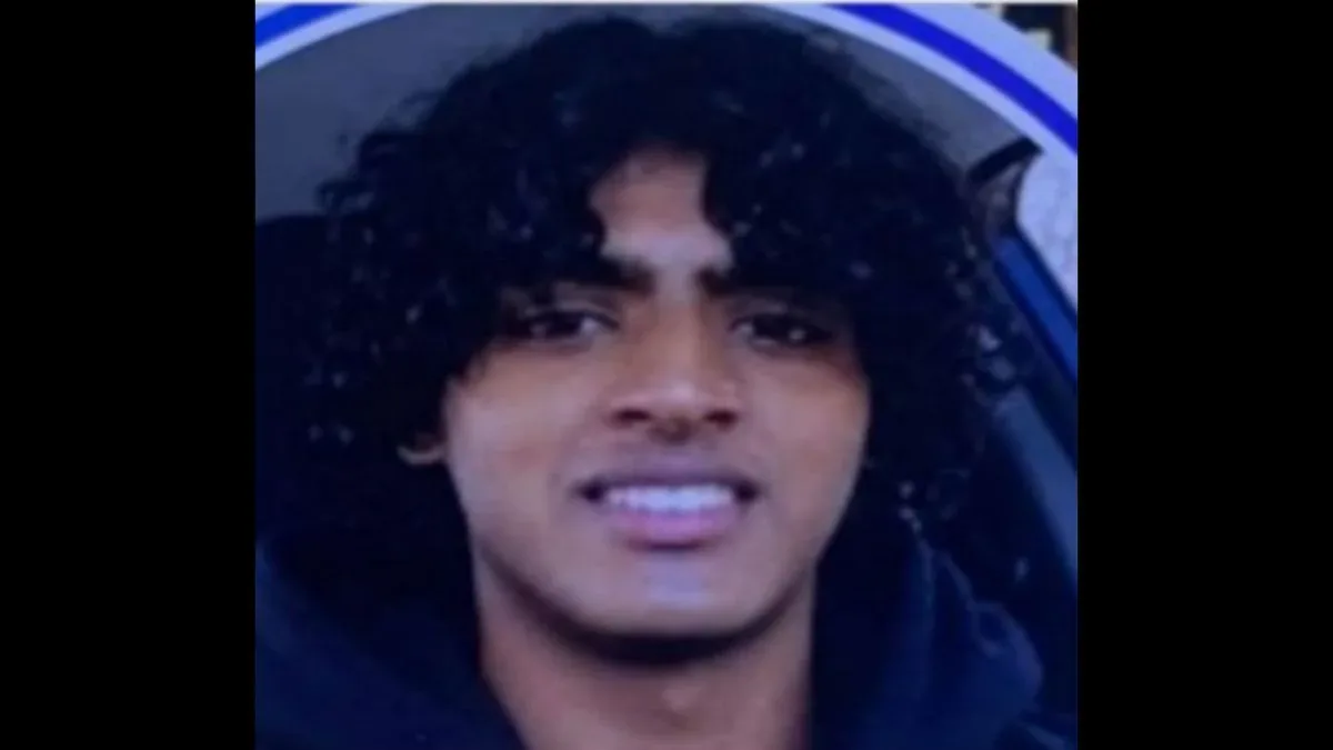 মা ও ভাইকে খুন করতে নিয়েছিল চ্যাটজিপিটির সাহায্য, গ্রেপ্তার ভারতীয় বংশোদ্ভূত কিশোর