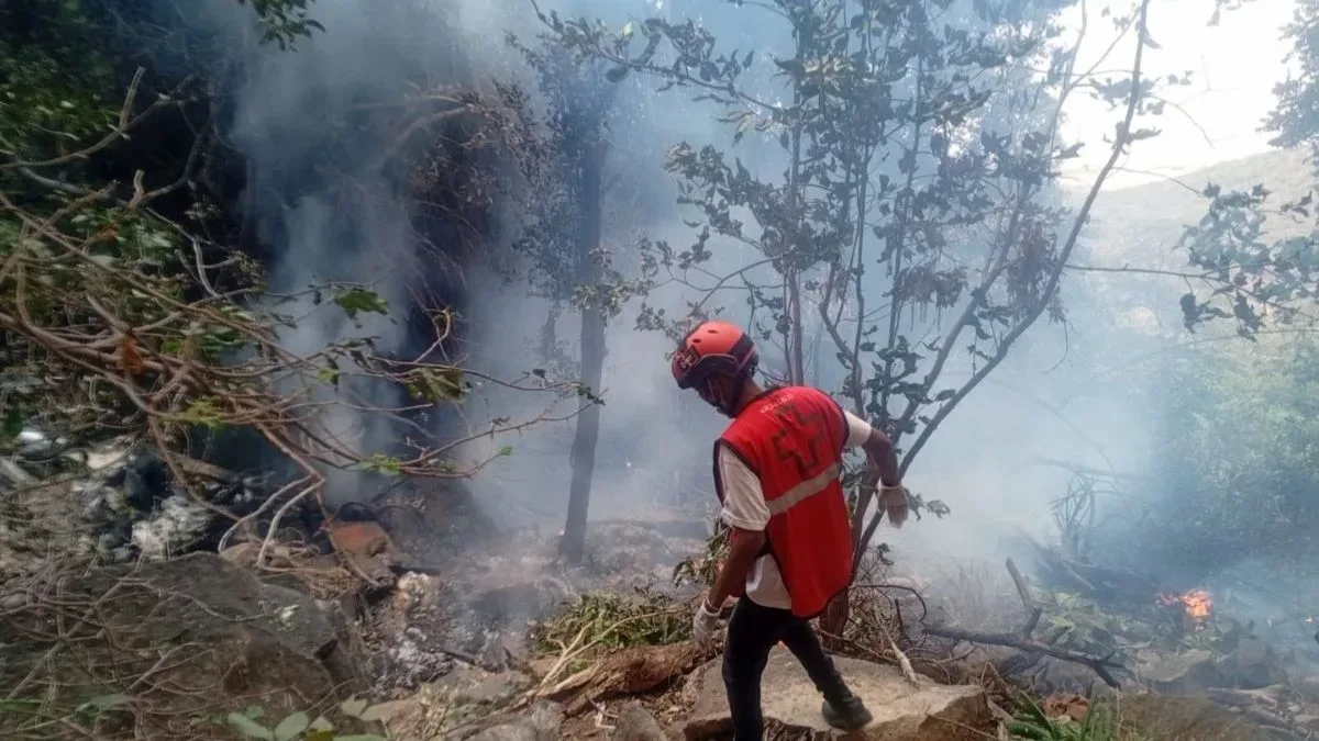 কেনিয়ায় হেলিকপ্টার দুর্ঘটনায় মৃত্যু ইকুয়েডরের গোয়েন্দা প্রধান-সহ ৭