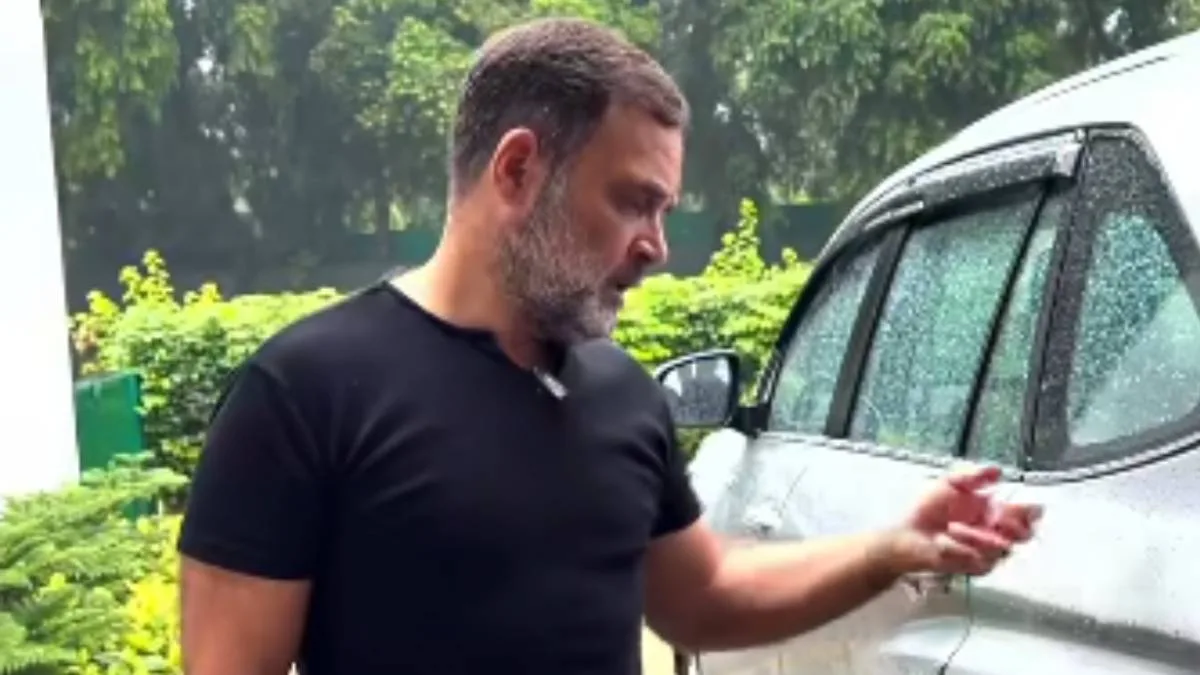 E20 পেট্রল আমাদের গাড়ি নষ্ট তো করছেই, ধ্বংস করছে জীবনও: রাহুল