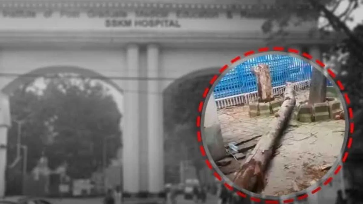আত্মীয়কে চিকিৎসা করাতে এসে বিপত্তি! এসএসকেএমে মাথায় গাছ পড়ে মৃ্ত্যু মহিলার