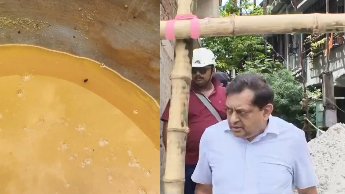অভিযানে হাঁসফাঁস নামীদামী ব্র্যান্ড, নামী মিষ্টি দোকানের কারখানায় ভেসে উঠল মরা মাছি ও পোকা