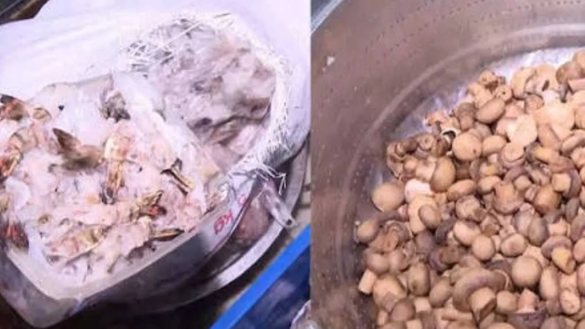 রাজ্যজুড়ে খাদ্য দপ্তরের অভিযান, উদ্ধার পচা মাংস-পনির, মেয়াদোত্তীর্ণ খাবার