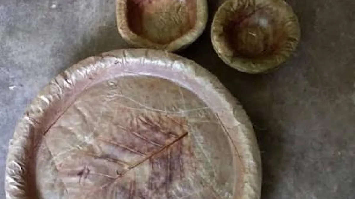 শালপাতা আছে, ন্যায্য দাম কোথায়?
