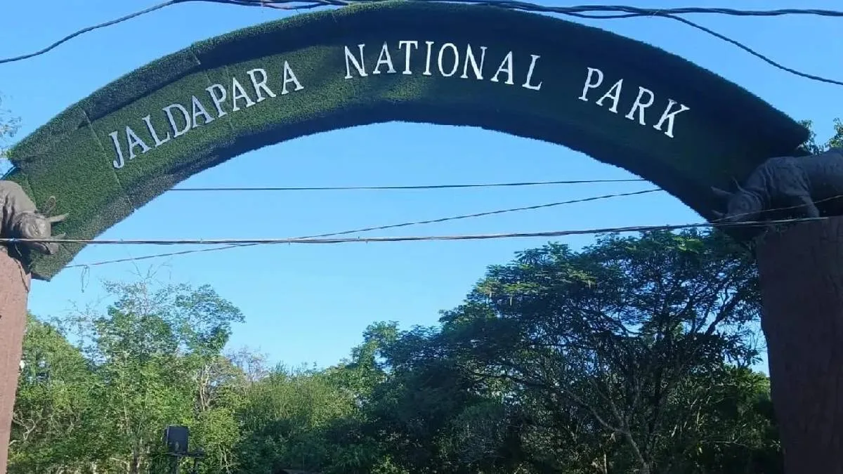 জলদাপাড়ায় অনলাইনে জঙ্গল সাফারি বুকিং শুরু, দুর্গাপুজোর উপহার পর্যটকদের