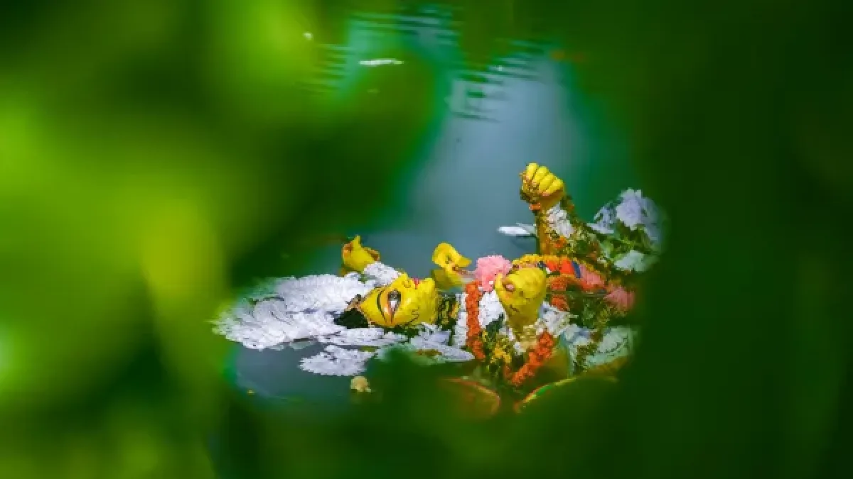 বিসর্জন এবং বিপন্ন নদী